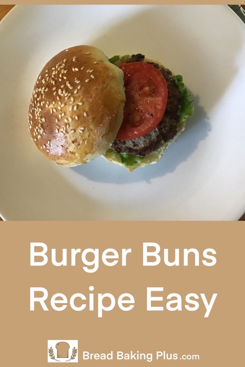 Burger Buns Recipe Easy