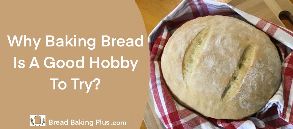 Why Baking Bread Is A Good Hobby To Try? (5 Reasons)