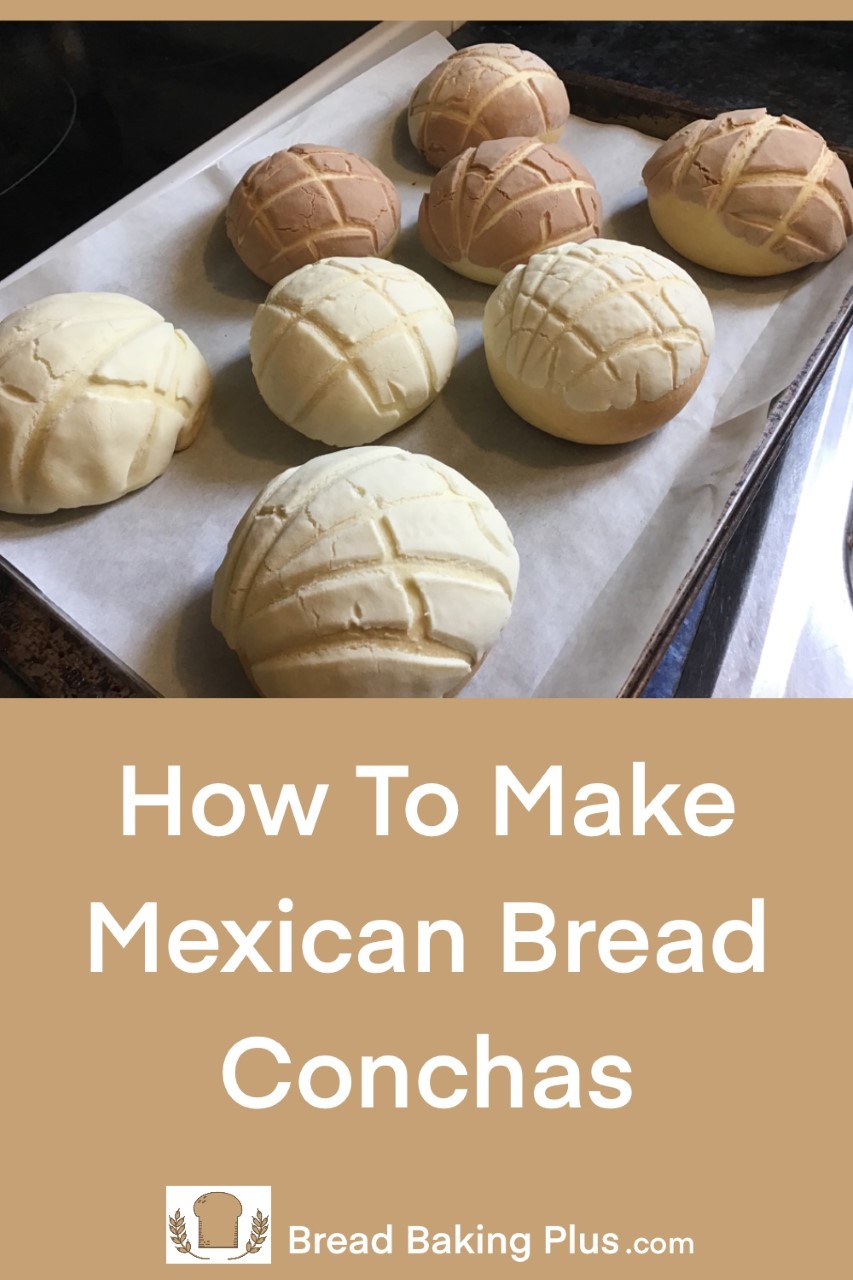 How To Make Mexican Bread Conchas