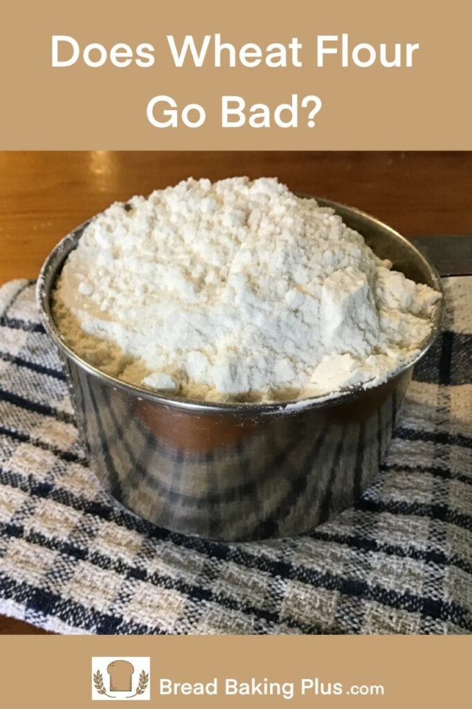 Does Wheat Flour Go Bad? Bread Baking Plus