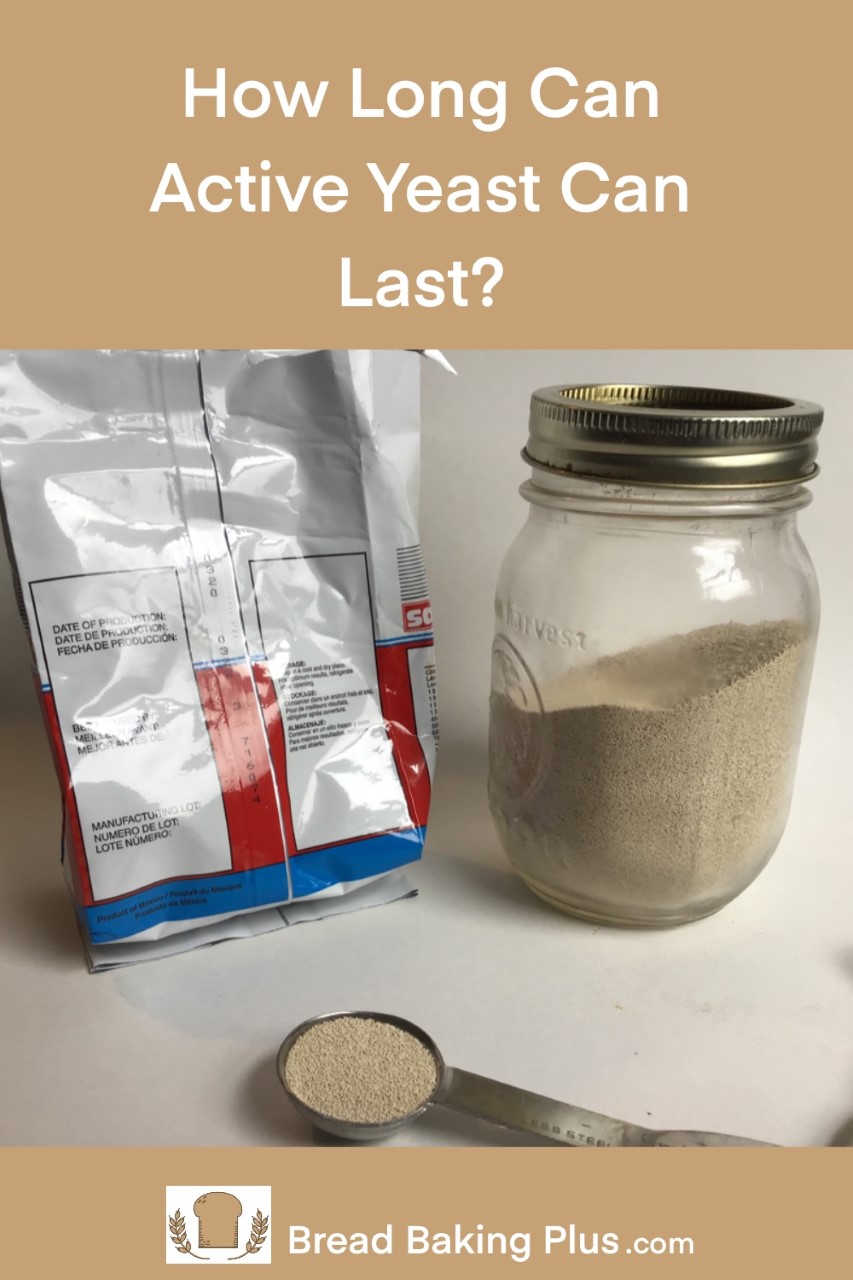 How Long Can Active Dry Yeast Last