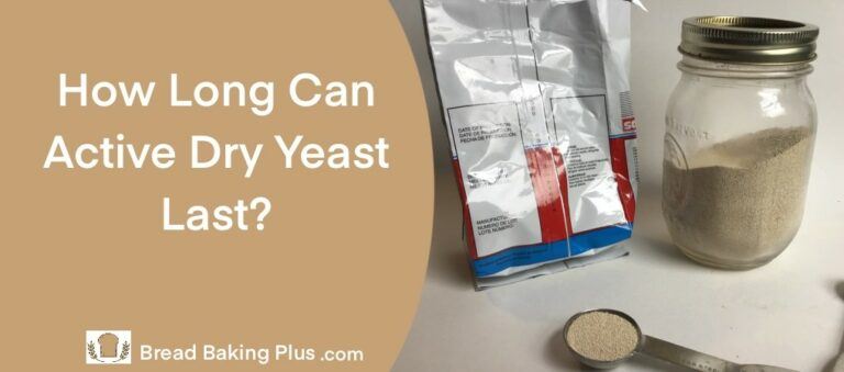 How Long Can Yeast Live Outside The Body