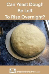 Can Yeast Dough Be Left To Rise Overnight - Bread Baking Plus