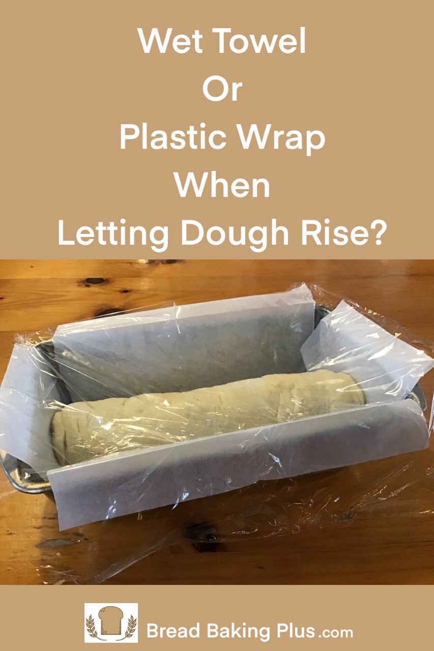 Wet Towel Or Plastic Wrap When Letting Dough Rise