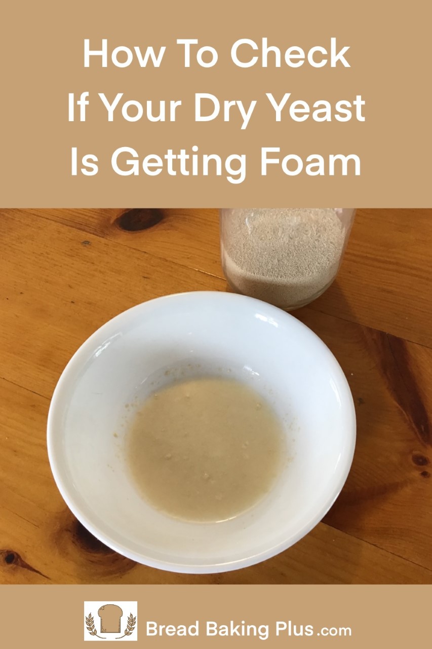 Why Is My Dry Yeast Not Getting Foam Bread Baking Plus